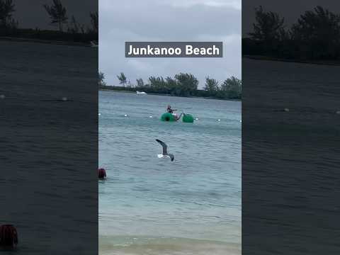Nearest beach from the cruise port in Nassau🏝️ #bahamas #traveller