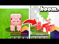 Minecraft But EVERY MOB I LOOK AT EXPLODES