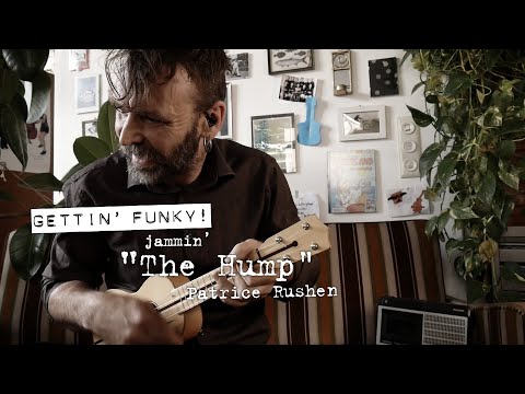 Iso Herquist – jammin’ on "The Hump" (Patrice Rushen)