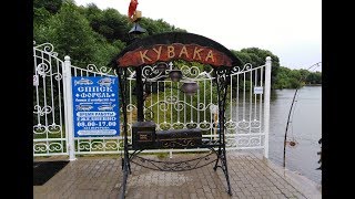 Ссылка