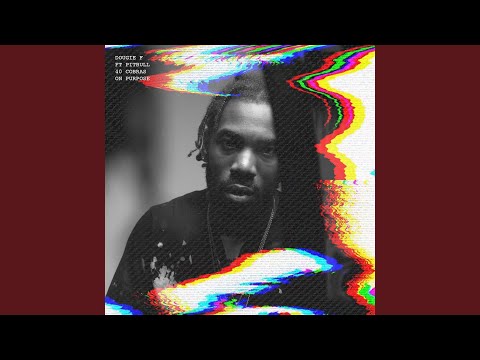 On Purpose (feat. Pitbull & 40 Cobras)