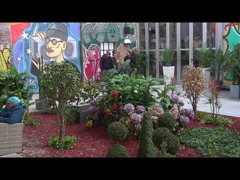 NEMANJA M BRINE ZA SVOJU ZENU - 29.11.2022. - INSTA TV