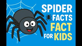 SPIDERS🕷️ | Animals for Kids | Fun and Educational Spider Facts for kids To Learn