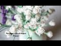 The Baby S Breath Paper Flower