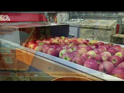 B2A Bmec Btrace HW/SW WMS Componenti e prodotti meccanici