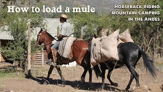 preview picture of video 'How to load a mule: Horseback riding mountain camping in the Andes near Santiago, Chile'