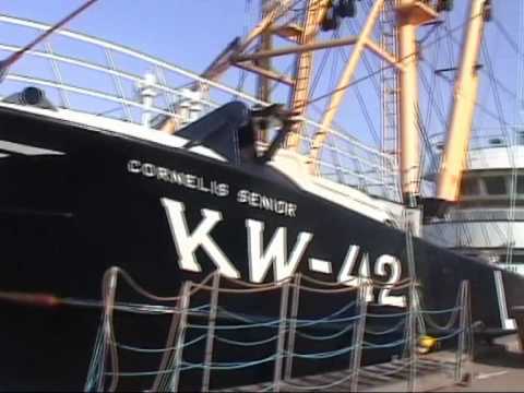 kw 42  kotter (fishcutter) part 3