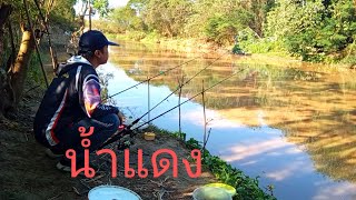 น้ำแดงขุ่น ตกใจหมดลุ้นตกปลากด