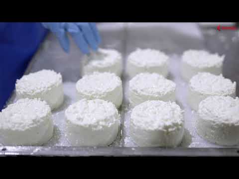 Fresh and soft cheese machinery