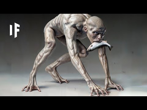 Evolution of Humans in 20 Minutes