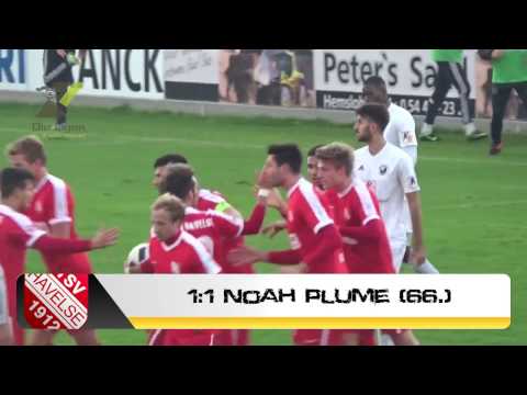 BSV Rehden gegen TSV HAVELSE | Spielbericht