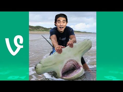 Zach King Vine and Tik Tok Compilation 2020 - Best Magic Vines !!! (Part 24)