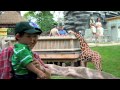Detroit Zoo