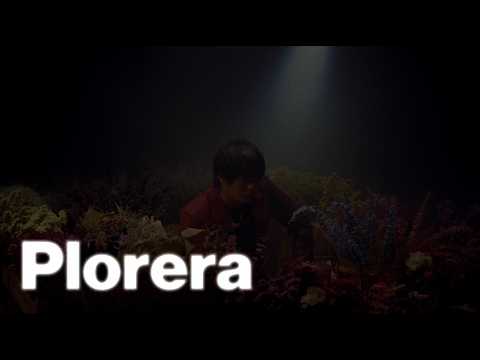 Plorera - Arthur Nery