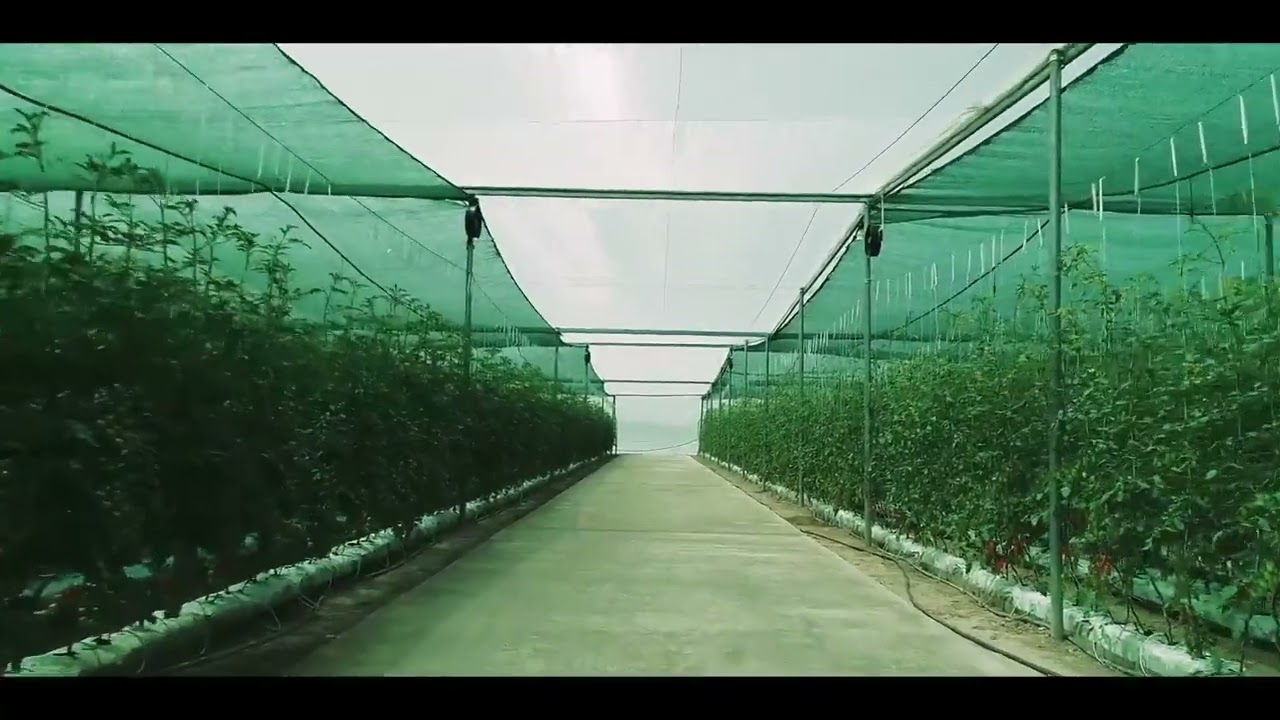 Корпоративный фильм - видеопродакшн Art Video