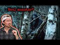 What Attacked Them In The Forest Defies Explanation