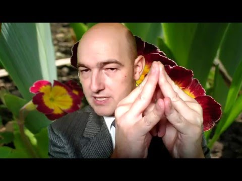 Die Servietten beim Ekzem Ob man wenn die Schuppenflechte die Tätowierung machen kann
