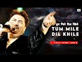 Tum Mile Dil Khile Kumar Sanu Criminal Nagarjuna Manisha Koirala New Song