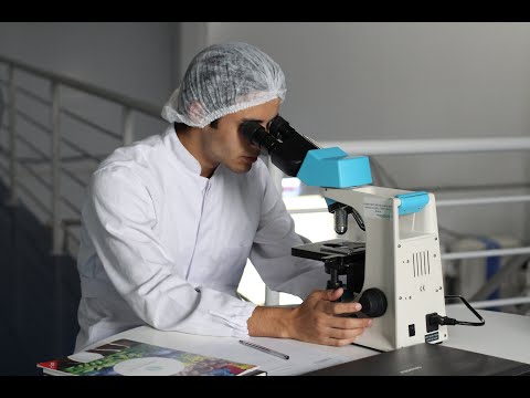 Biotechnologie Studium - kurz und knapp