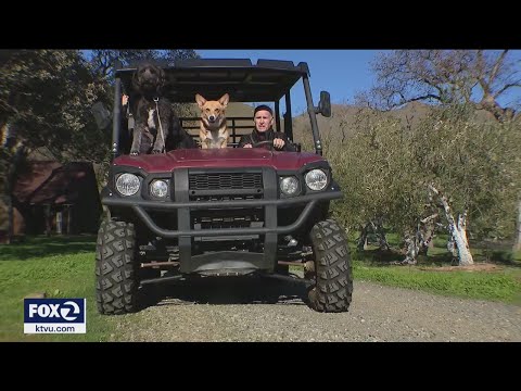 Catching up with former Governor Jerry Brown