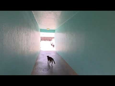 Trinity Apartements - Video 2 of 2