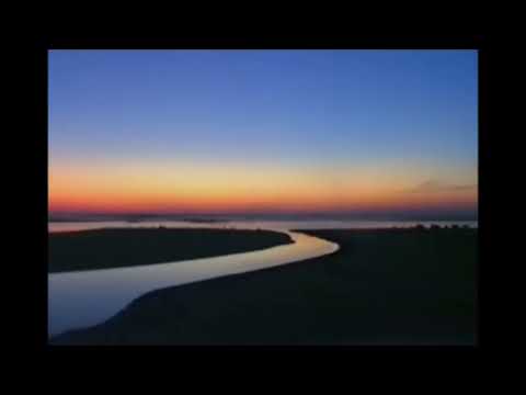 Digitaldubs - Transe Amazônico (Abrindo Os Caminhos)