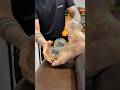 ASMR Vip Cupping Alinezhad ️ Relax Relaxing Foot Massage Shortsviral Viral Asmr Cupping