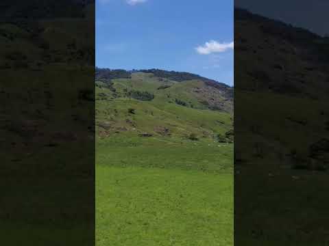 #reflexão #natureza #riobonito