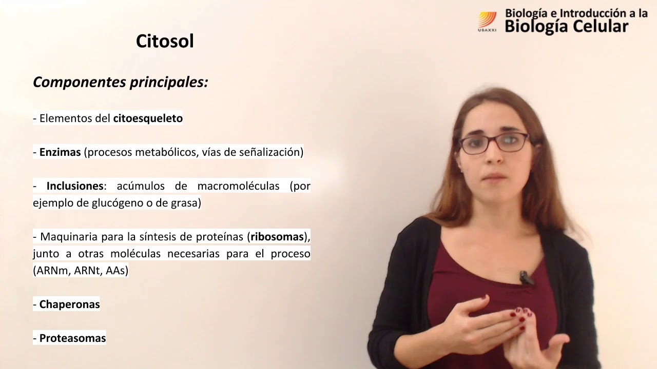 31- Biología celular. Citosol