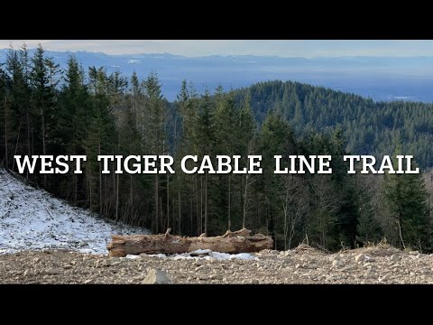 West Tiger Cable Line Trail | Issaquah | Seattle | Washington | Short Hike | Amazing Views