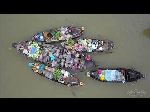 Mùa xuân dịu dàng Sheet - Như Nguyệt