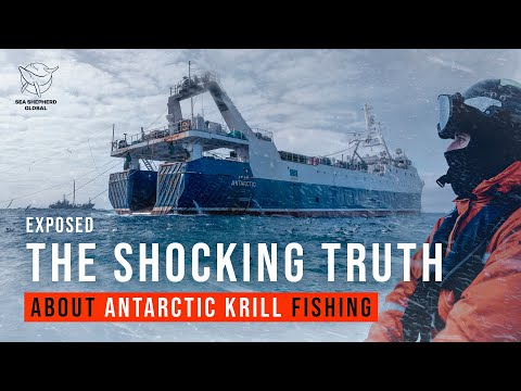 Exposed: The Shocking Truth about Antarctic Krill Fishing