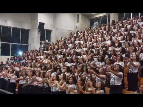 GRANDE GRUPO DE GESTOS