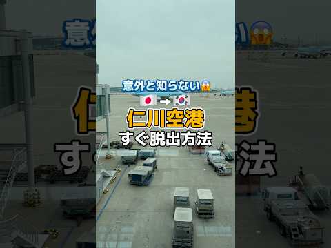 仁川大橋について詳しく解説