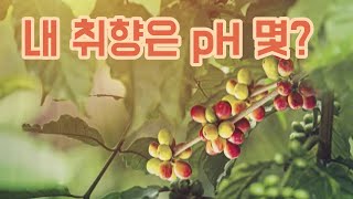 커피의 산미, pH 농도는? / YTN 사이언스