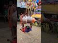 Chinna Chinna Murugaiya Song WhatsApp Status Cute Small Murugan WhatsApp Status Cute Kids Status