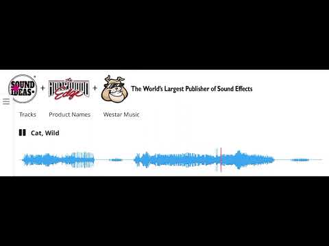 Sound Ideas, CAT - WILD: GROWL, HISSING, ANIMAL 01