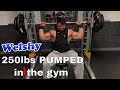 250lb bodybuilder PUMPED UP in the gym