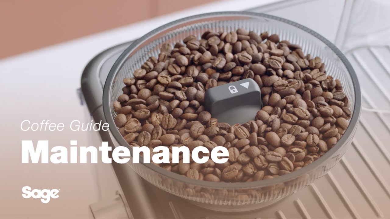 How to clean grinder conical burrs