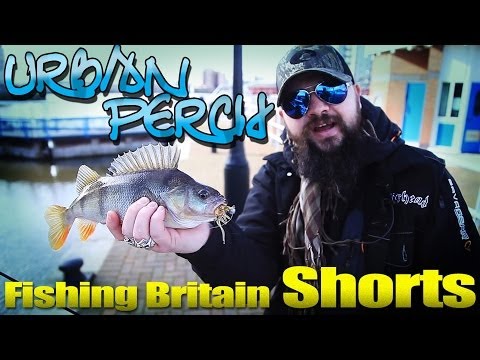 Urban Perch Fishing – Fishing Britain Shorts