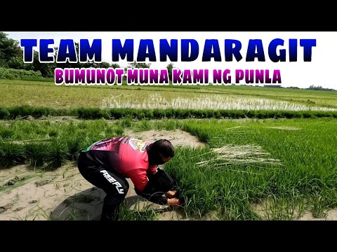 Ep.151, BUHAY BUKID pagbubunot ng punla.