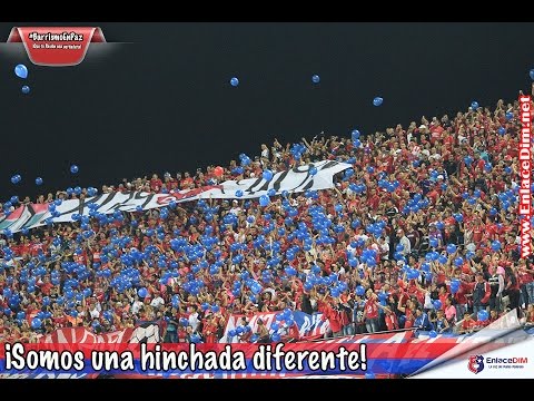 "DIM-Cali  Â¡Somos una hinchada diferente!  #EnlaceDIM #BarrismoEnPaz" Barra: Rexixtenxia Norte • Club: Independiente Medellín