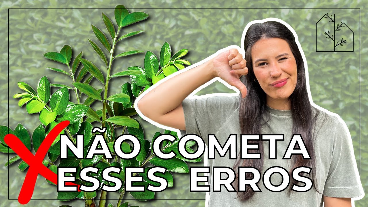 6 ERROS NO CULTIVO DA ZAMIOCULCA QUE PREJUDICAM O DESENVOLVIMENTO DA PLANTA NA SUA CASA!