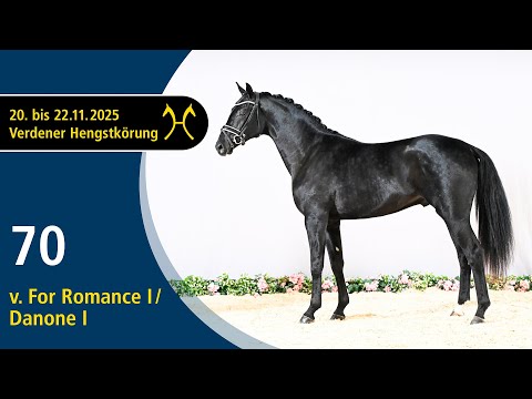 No. 70 Stallion by For Romance I - Danone I | Verden Stallion Licensing 2025 - Dressage - Nov. 21/22