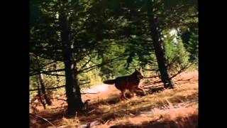 Thisisthebestpart-We Forgotten Who We Are (Crippled Black Phoenix remix)