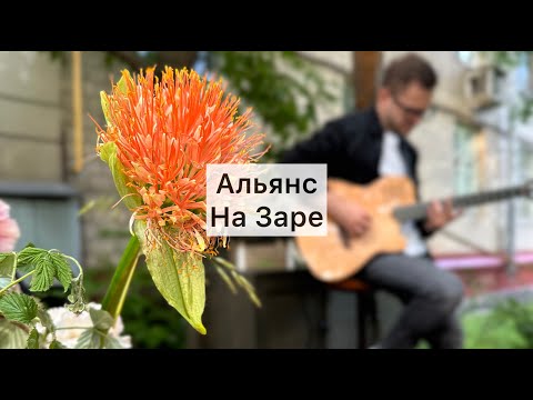 Альянс - На заре (кавер с лупером)