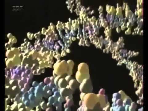 Am Anfang war das Wasser - Planet des Lebens - Teil 1