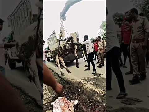 जब तक जीवन है, ये सेवा न तो बंद होगी, न ही कोई बंद कर सकता है।