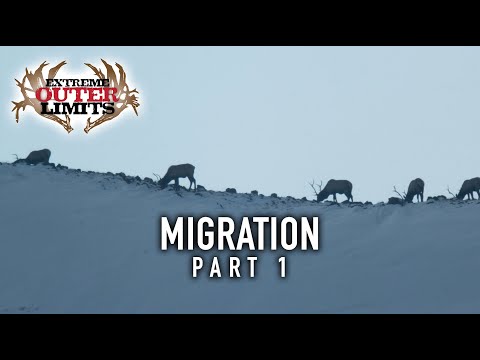 Wyoming Elk Hunting - Part 1