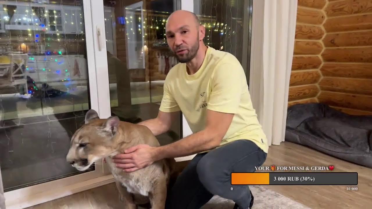 Новогодние каникулы🎉